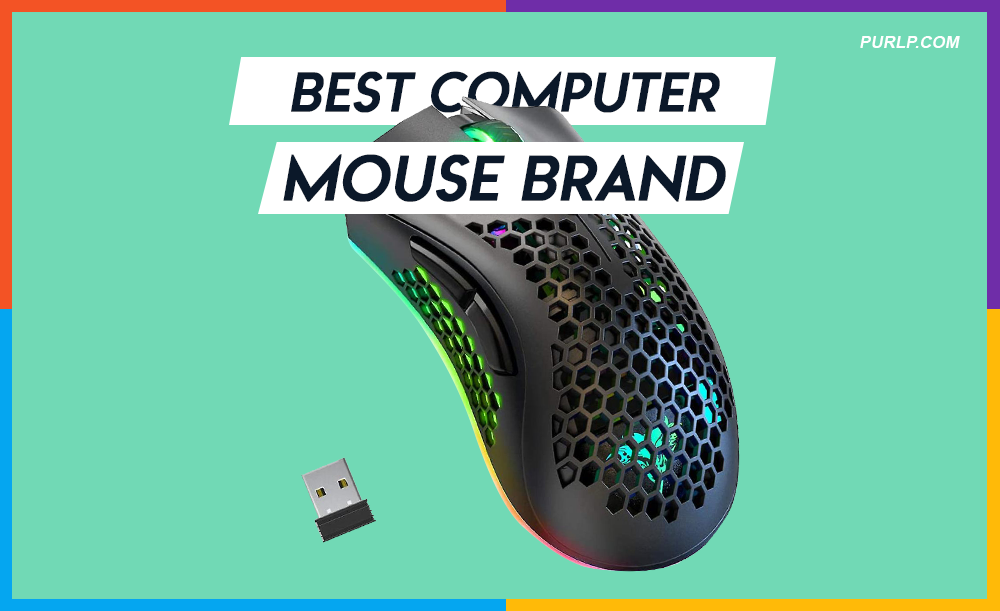The Best Computer Mouse Brand Work and Play